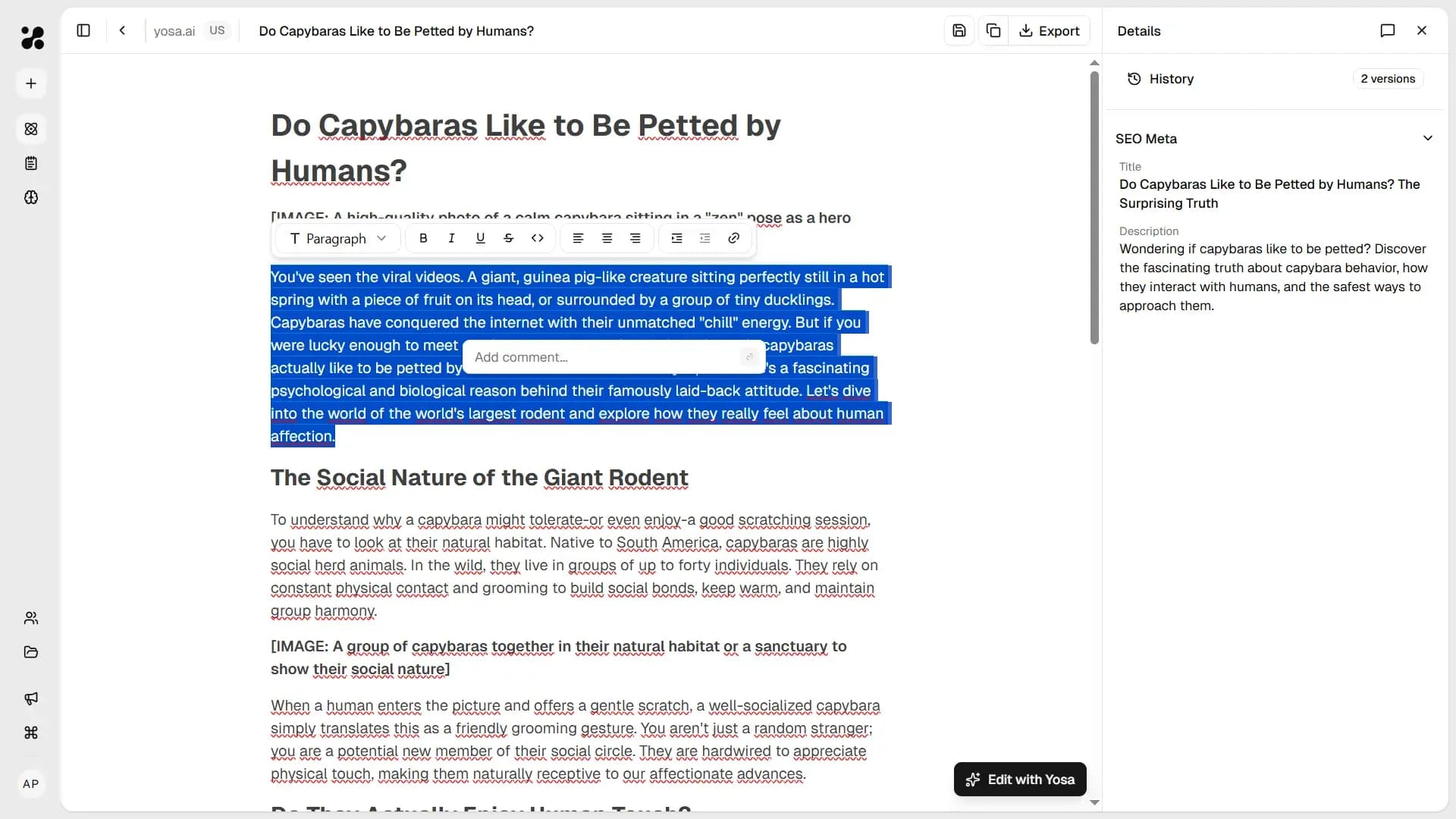 Adding comment in canvas