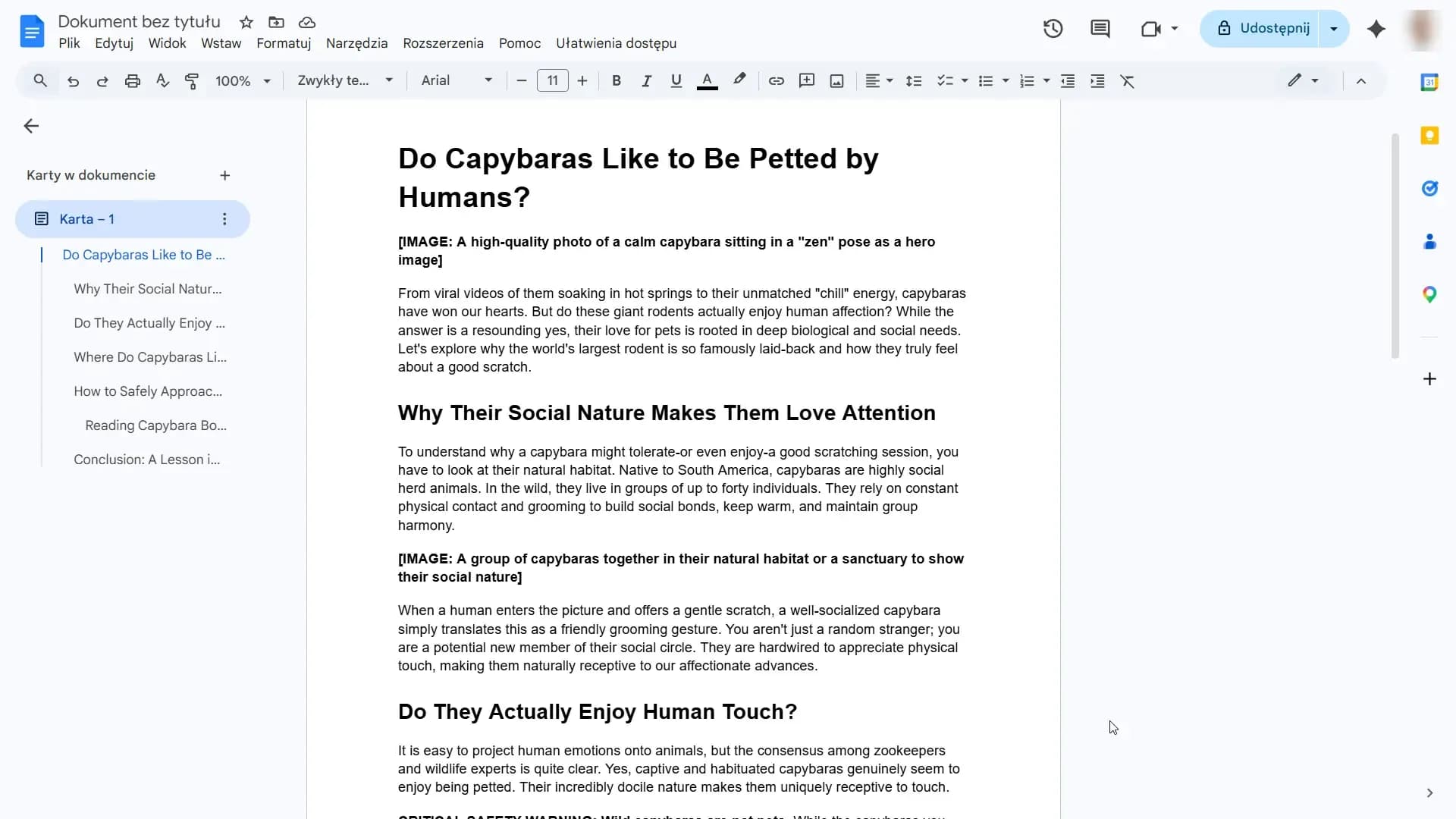 Canvas content pasted into Google Docs file