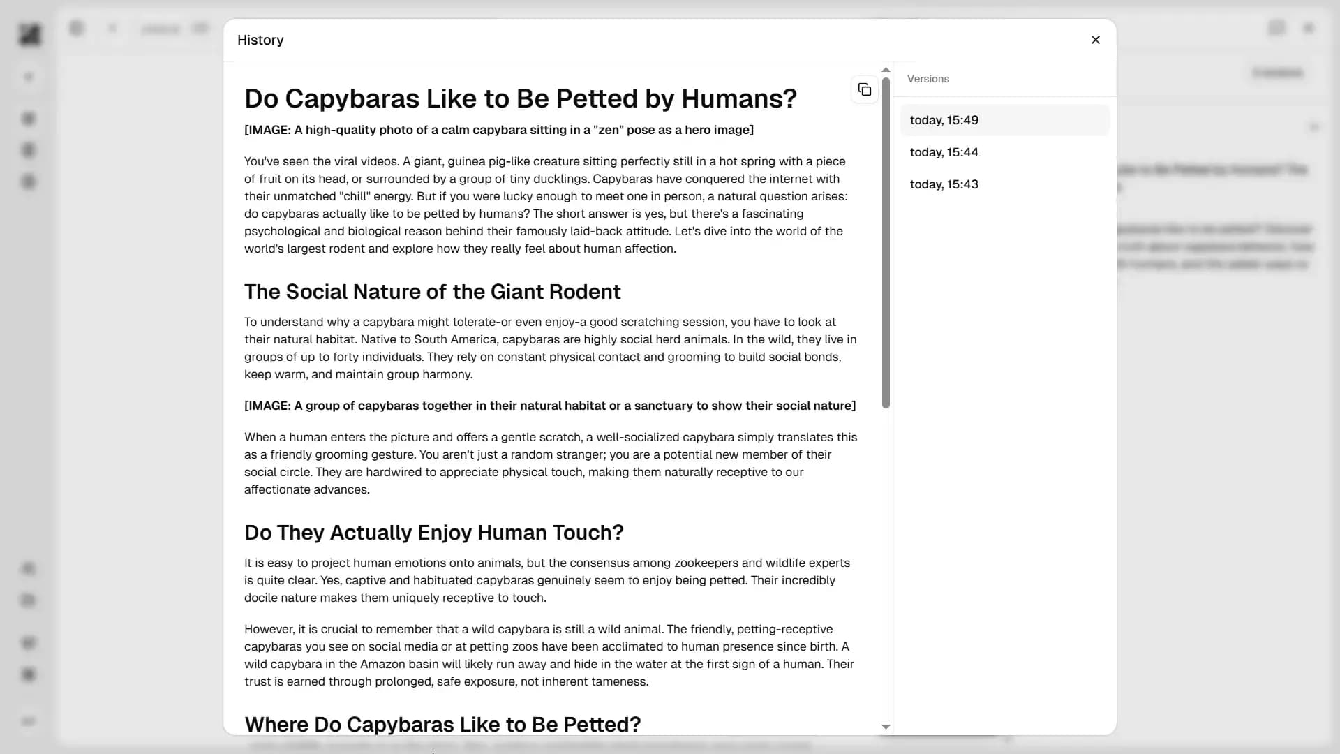 Canvas version history panel