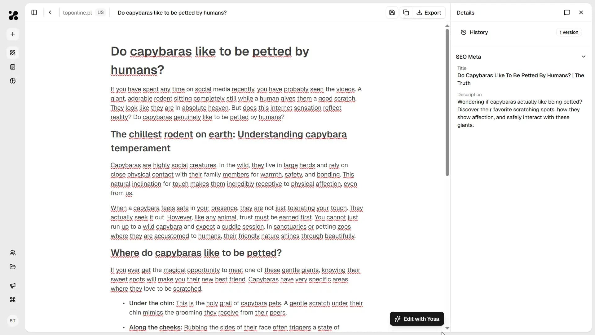 Canvas with generated blog post