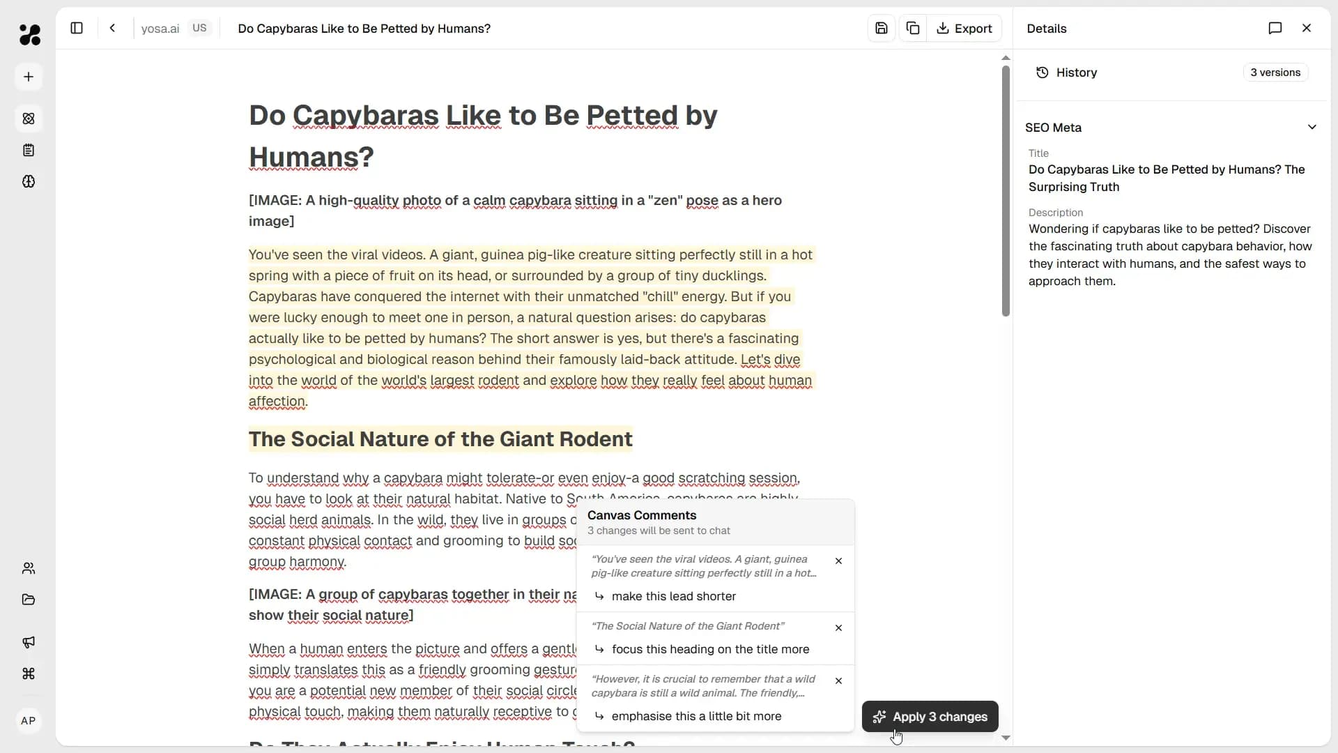 Multiple comments in canvas
